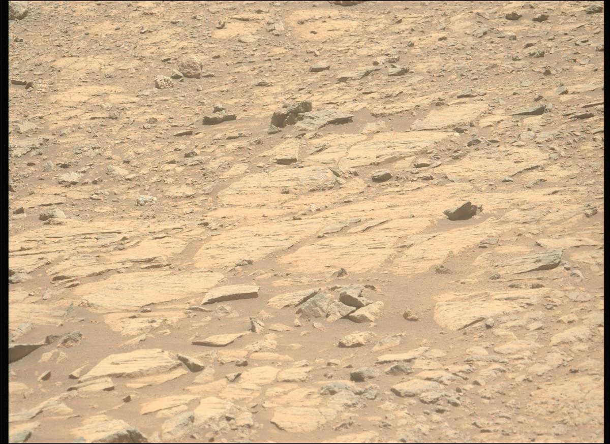 This image was taken by MCZ_LEFT onboard NASA's Mars rover Perseverance on Sol 1613