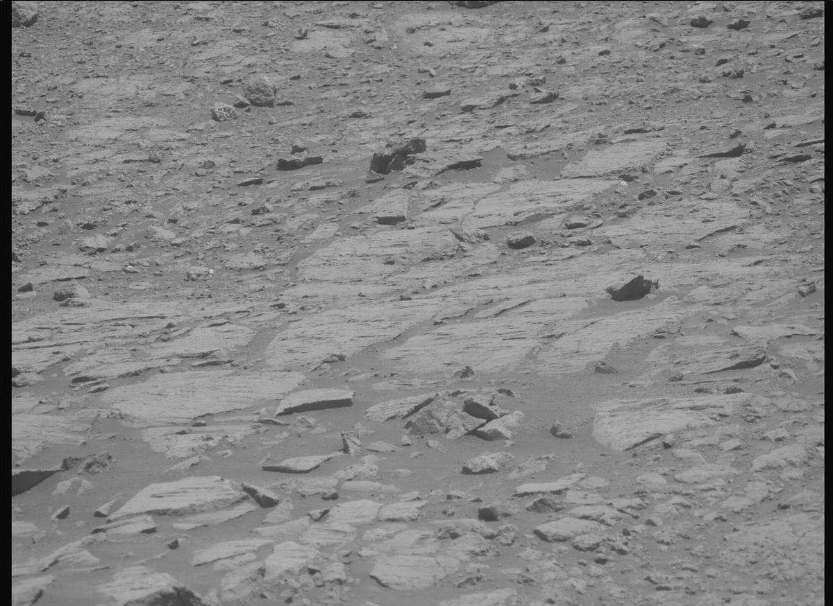 This image was taken by MCZ_LEFT onboard NASA's Mars rover Perseverance on Sol 1613