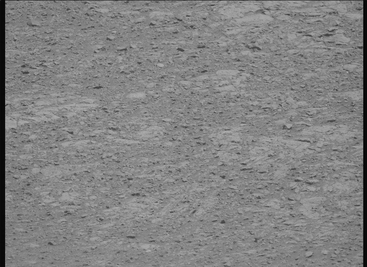 This image was taken by MCZ_LEFT onboard NASA's Mars rover Perseverance on Sol 1613