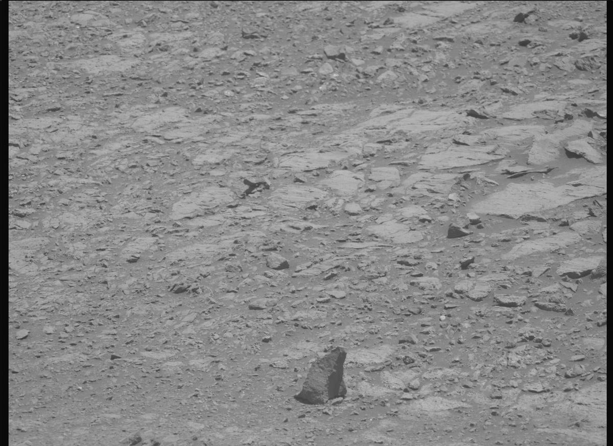 This image was taken by MCZ_LEFT onboard NASA's Mars rover Perseverance on Sol 1613