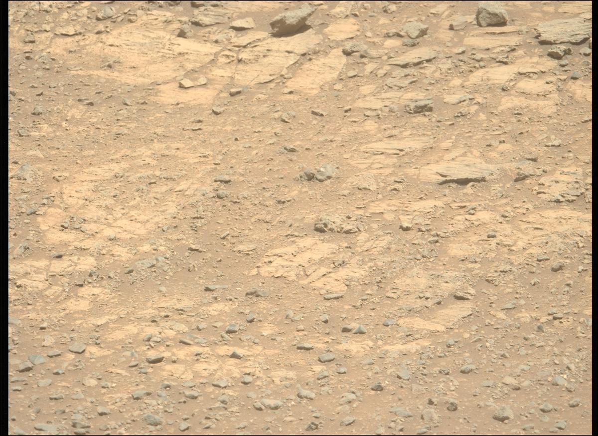 This image was taken by MCZ_LEFT onboard NASA's Mars rover Perseverance on Sol 1613