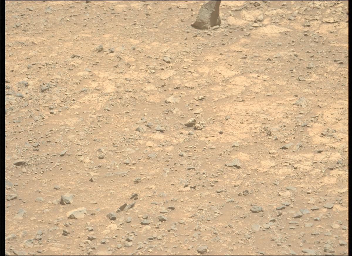 This image was taken by MCZ_LEFT onboard NASA's Mars rover Perseverance on Sol 1613