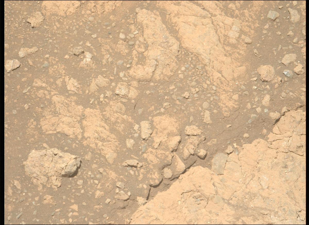 This image was taken by MCZ_LEFT onboard NASA's Mars rover Perseverance on Sol 1613