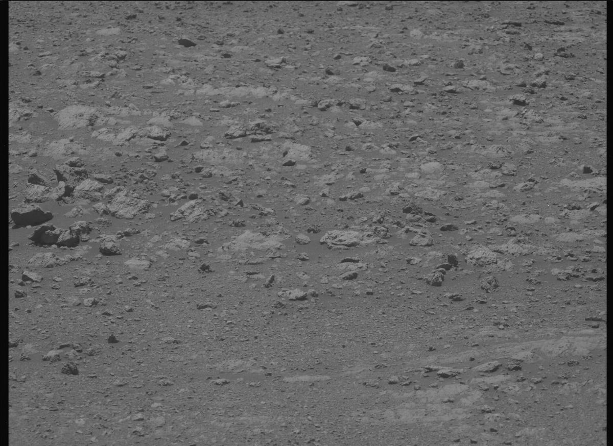 This image was taken by MCZ_LEFT onboard NASA's Mars rover Perseverance on Sol 1613