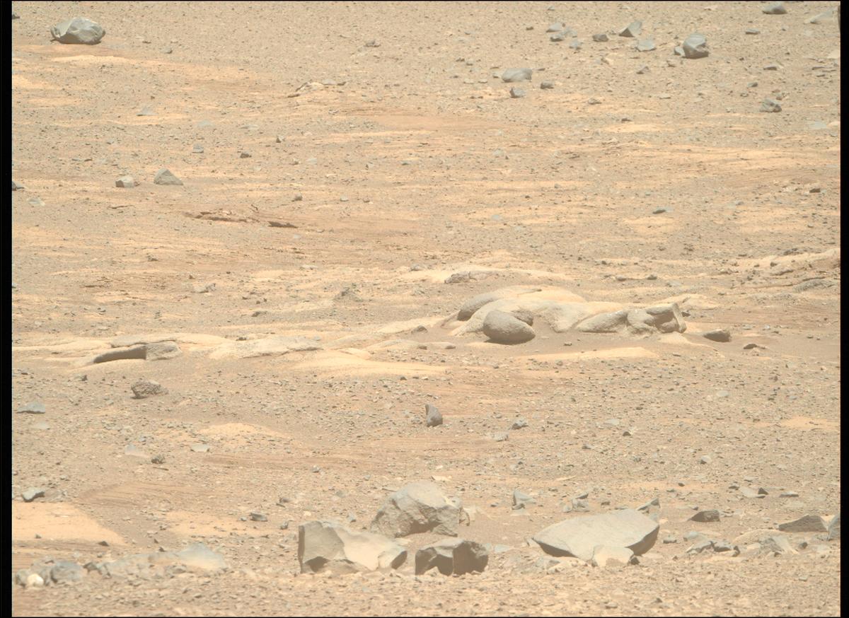 This image was taken by MCZ_RIGHT onboard NASA's Mars rover Perseverance on Sol 1613