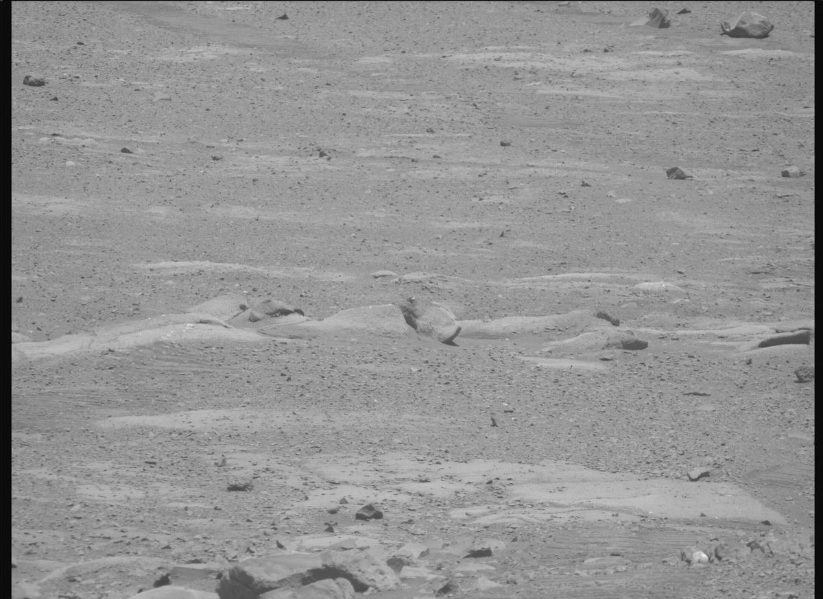 This image was taken by MCZ_RIGHT onboard NASA's Mars rover Perseverance on Sol 1613