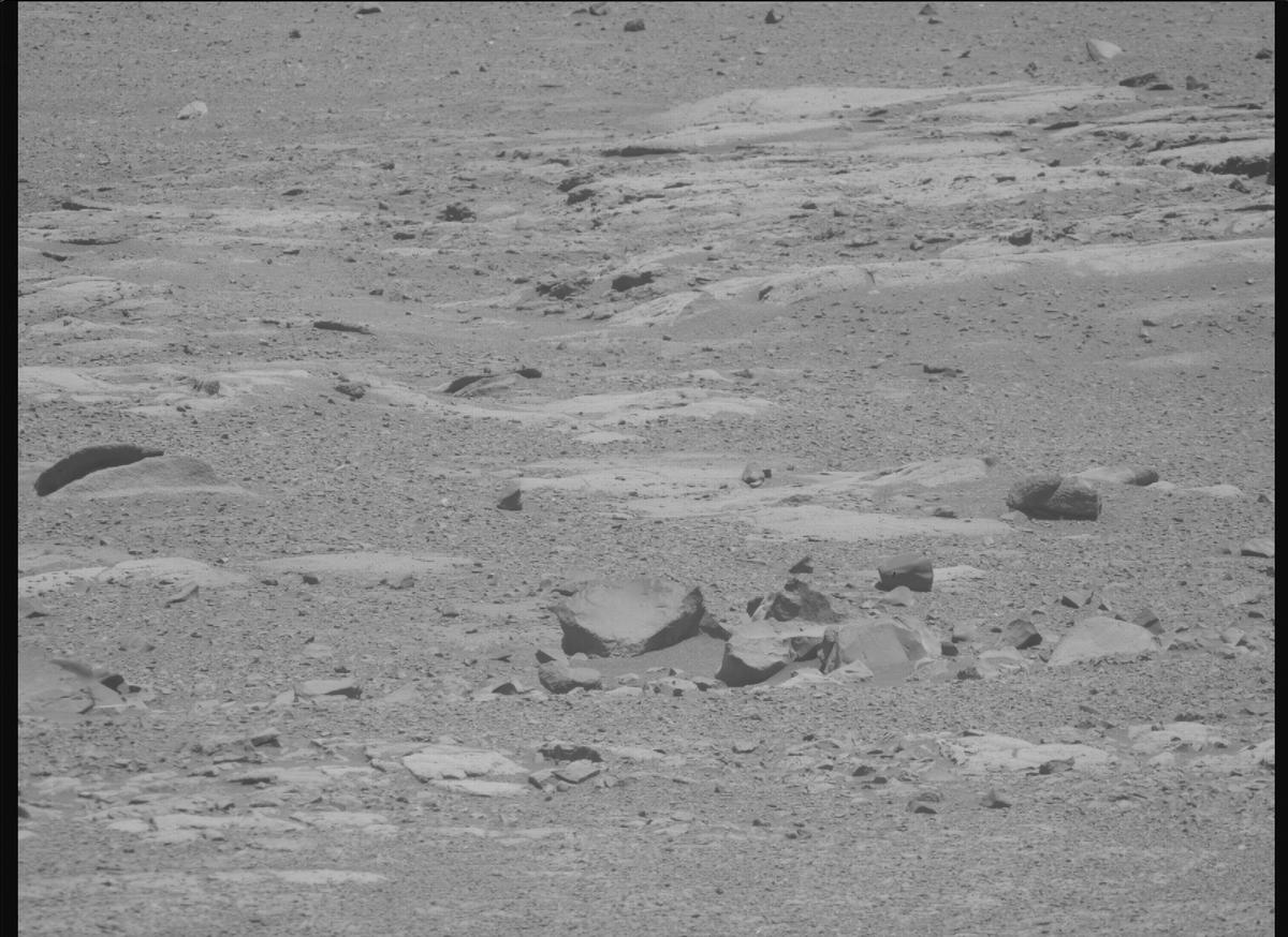 This image was taken by MCZ_RIGHT onboard NASA's Mars rover Perseverance on Sol 1613