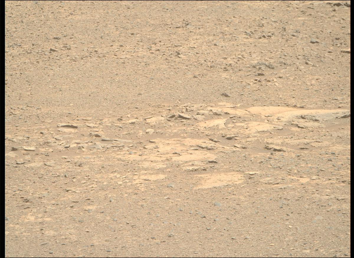 This image was taken by MCZ_RIGHT onboard NASA's Mars rover Perseverance on Sol 1613