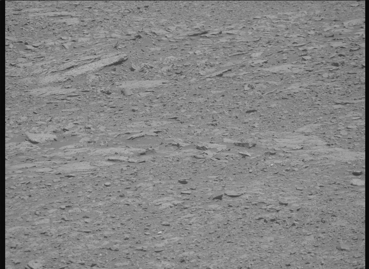This image was taken by MCZ_RIGHT onboard NASA's Mars rover Perseverance on Sol 1613
