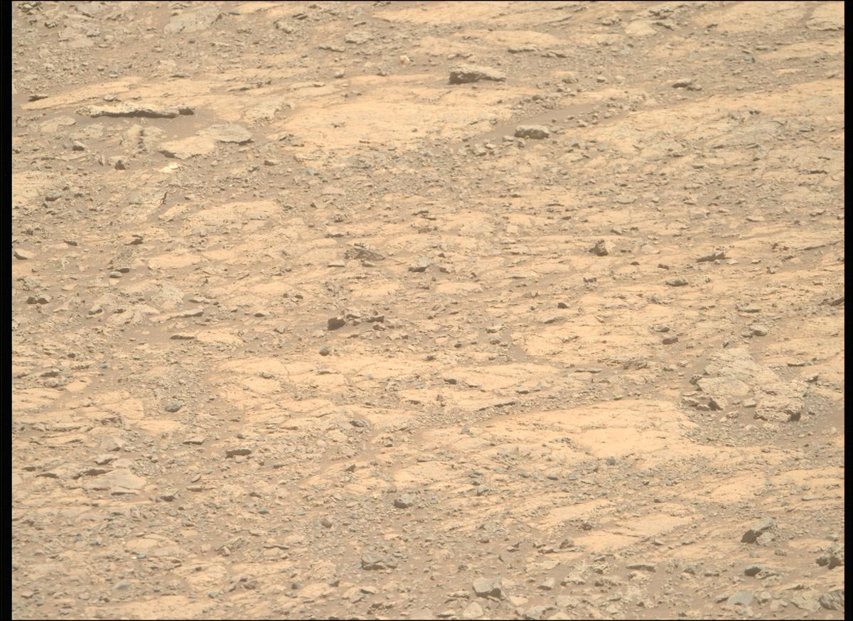 This image was taken by MCZ_RIGHT onboard NASA's Mars rover Perseverance on Sol 1613