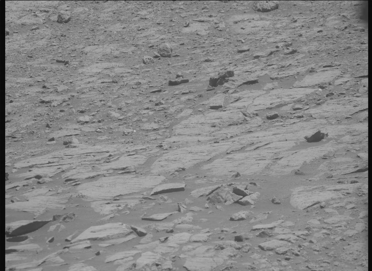 This image was taken by MCZ_RIGHT onboard NASA's Mars rover Perseverance on Sol 1613