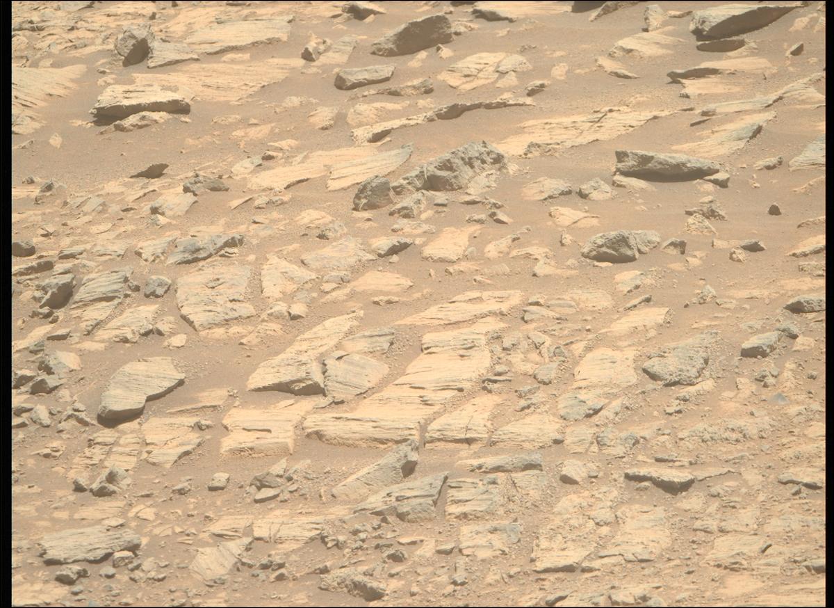 This image was taken by MCZ_RIGHT onboard NASA's Mars rover Perseverance on Sol 1613