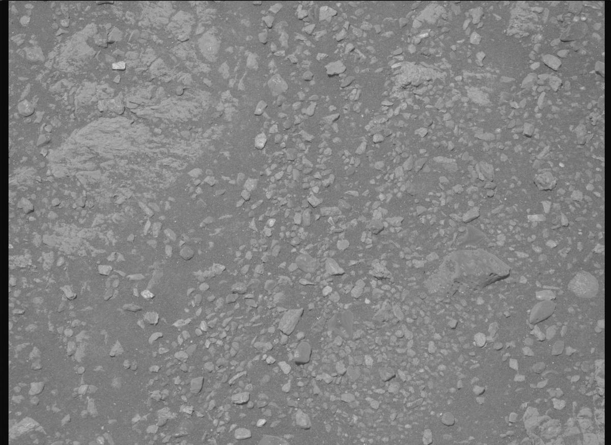 This image was taken by MCZ_RIGHT onboard NASA's Mars rover Perseverance on Sol 1613