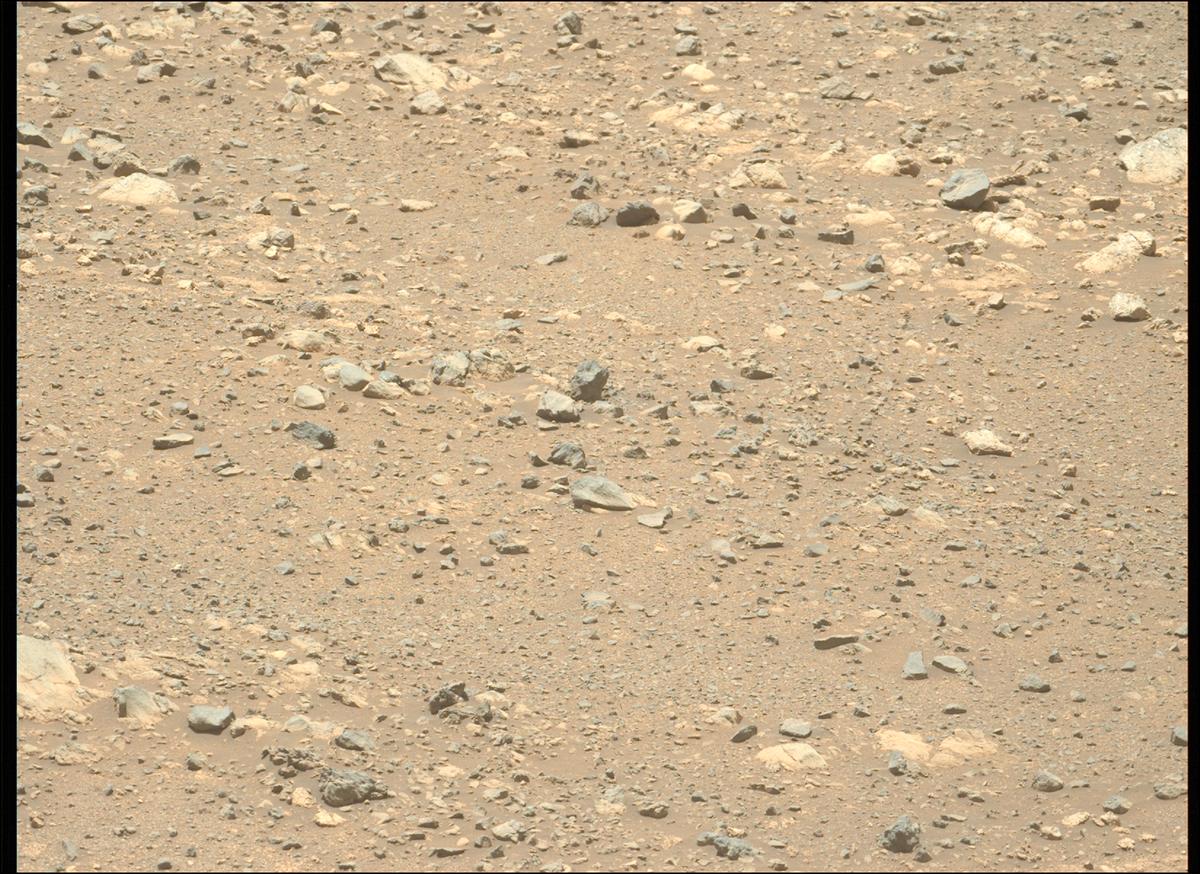 This image was taken by MCZ_LEFT onboard NASA's Mars rover Perseverance on Sol 1614