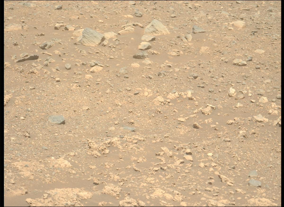 This image was taken by MCZ_LEFT onboard NASA's Mars rover Perseverance on Sol 1614