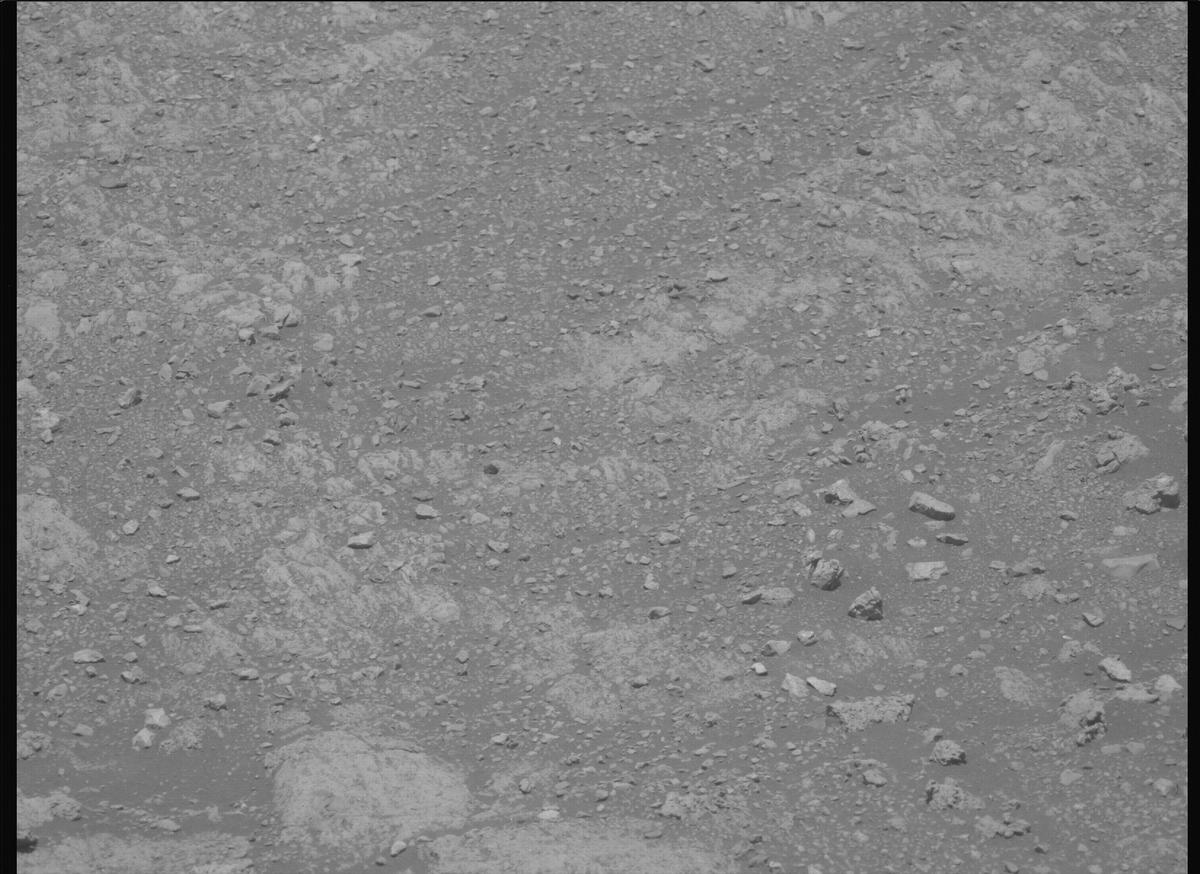 This image was taken by MCZ_LEFT onboard NASA's Mars rover Perseverance on Sol 1614