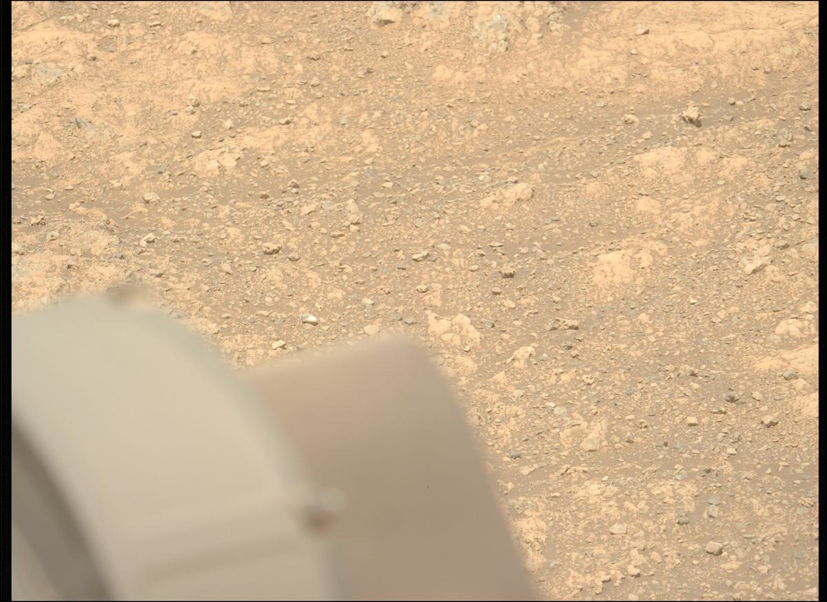 This image was taken by MCZ_LEFT onboard NASA's Mars rover Perseverance on Sol 1614