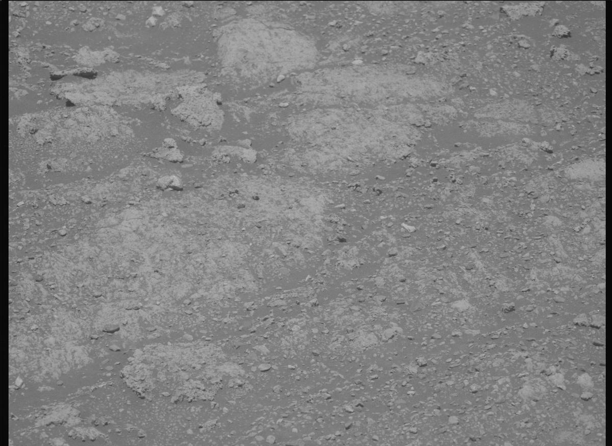 This image was taken by MCZ_LEFT onboard NASA's Mars rover Perseverance on Sol 1614