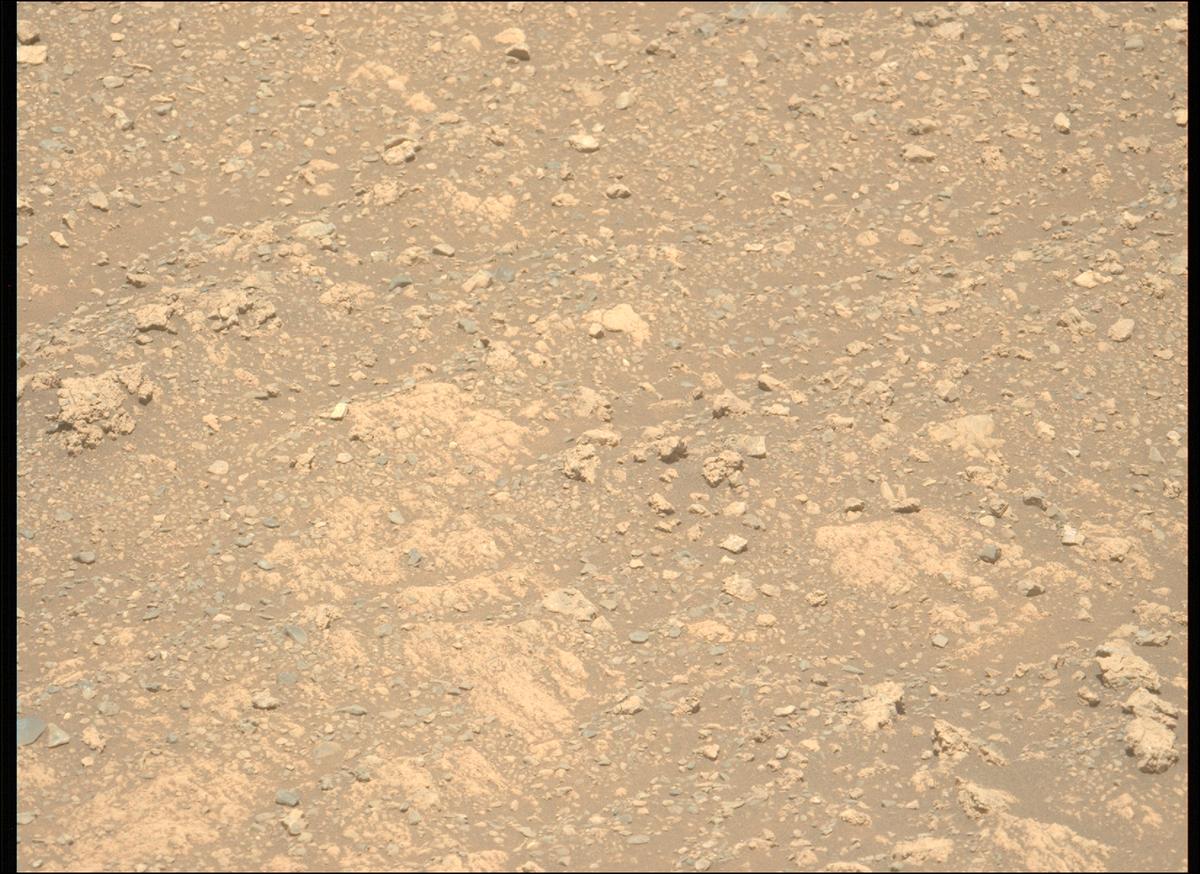This image was taken by MCZ_LEFT onboard NASA's Mars rover Perseverance on Sol 1614