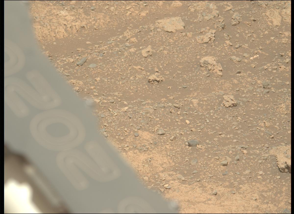 This image was taken by MCZ_LEFT onboard NASA's Mars rover Perseverance on Sol 1614