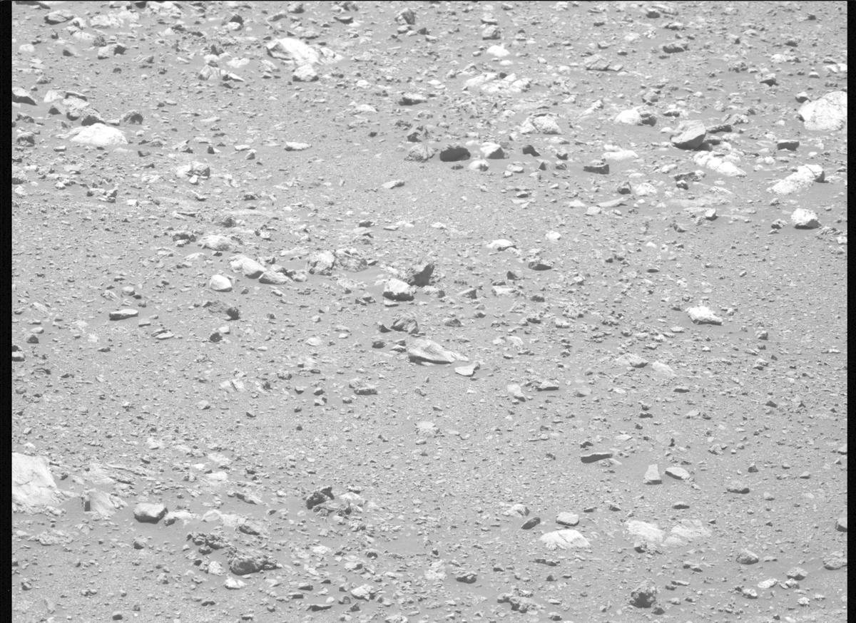 This image was taken by MCZ_LEFT onboard NASA's Mars rover Perseverance on Sol 1614