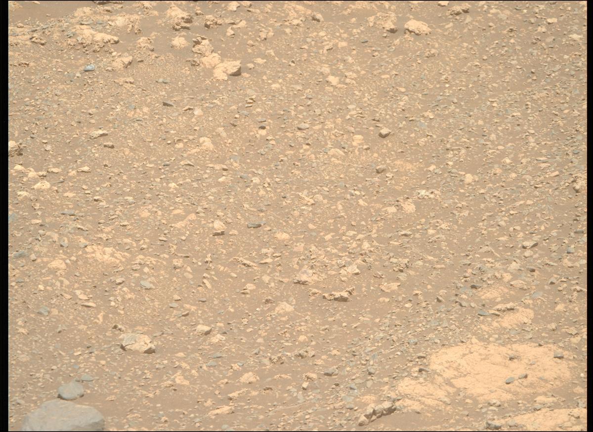 This image was taken by MCZ_RIGHT onboard NASA's Mars rover Perseverance on Sol 1614