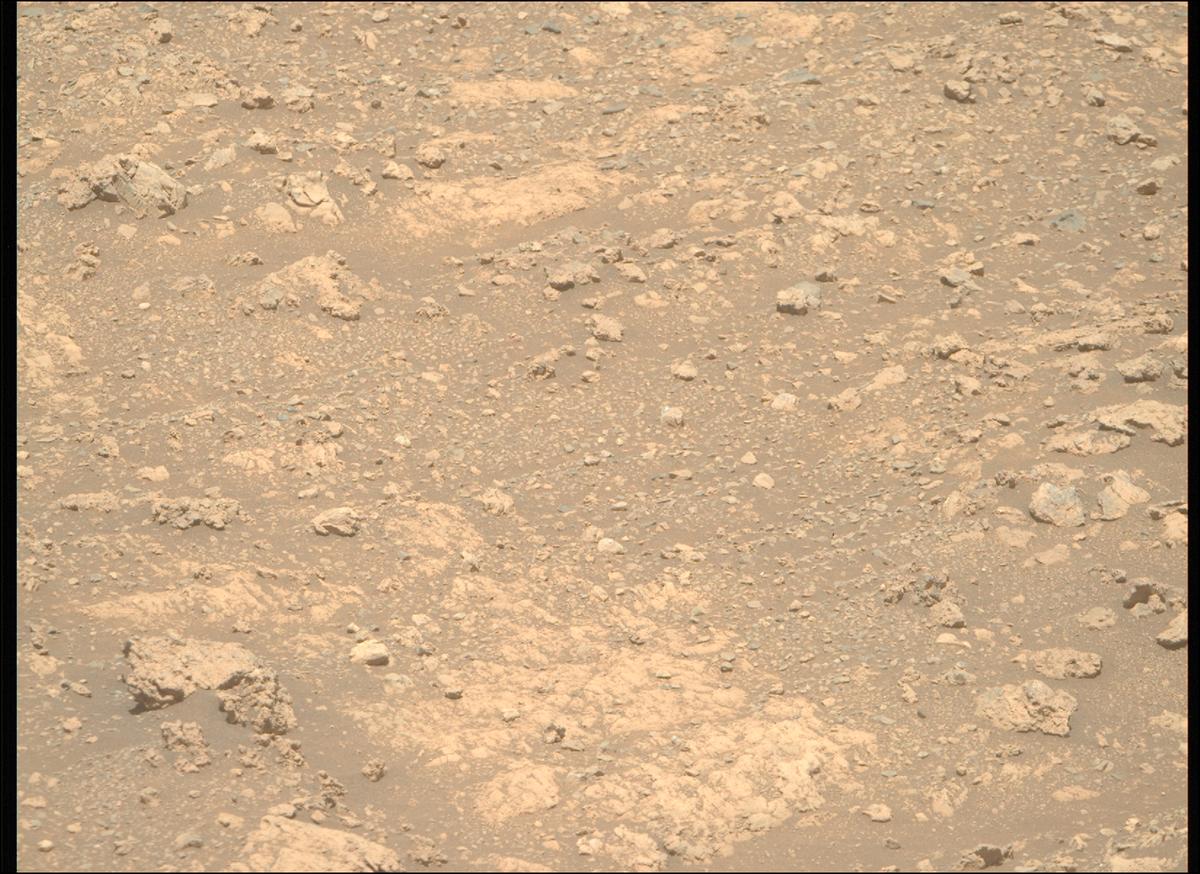 This image was taken by MCZ_RIGHT onboard NASA's Mars rover Perseverance on Sol 1614