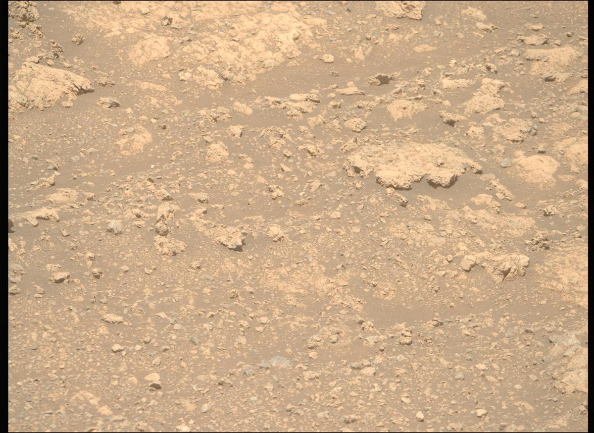 This image was taken by MCZ_RIGHT onboard NASA's Mars rover Perseverance on Sol 1614