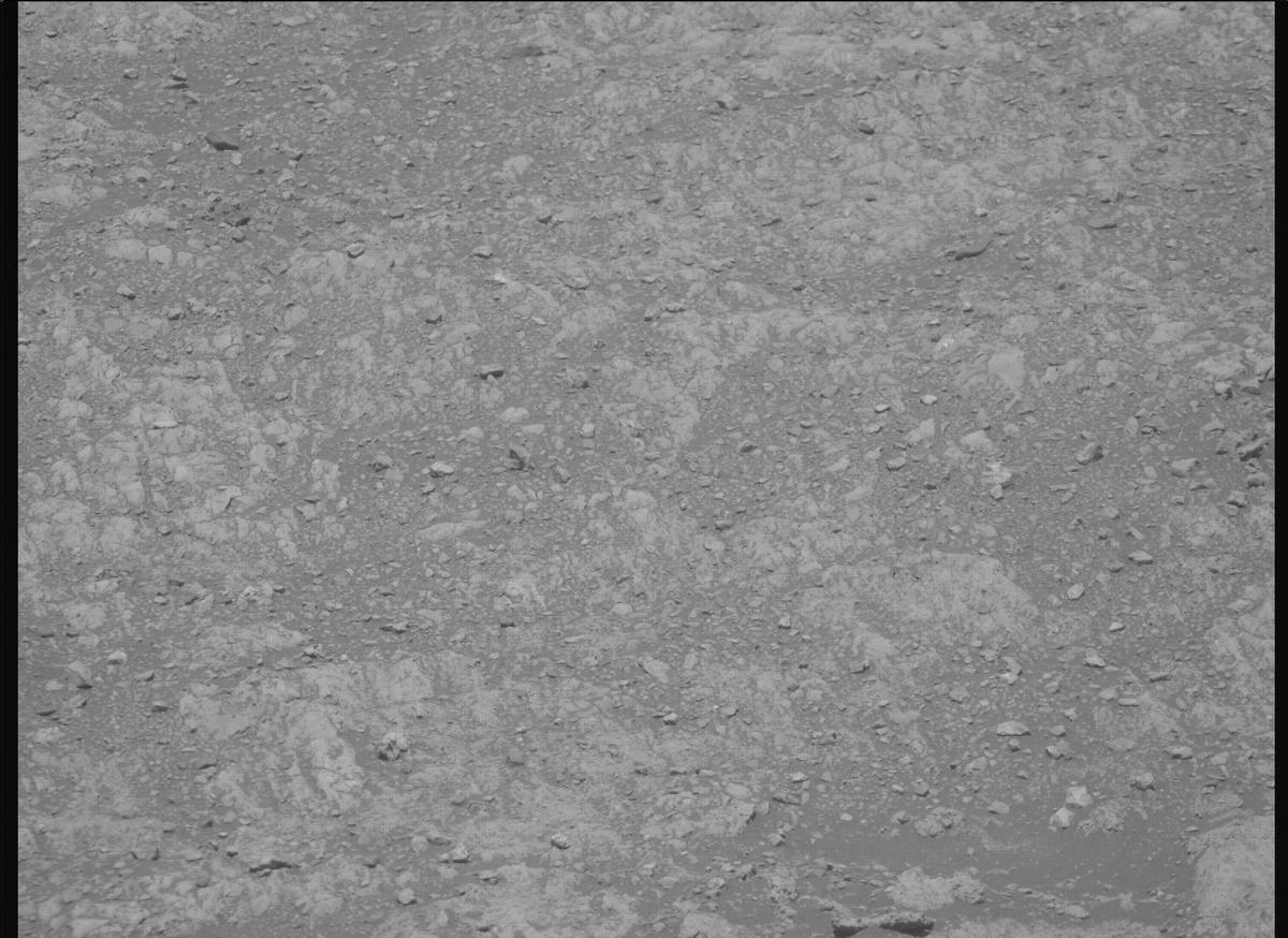 This image was taken by MCZ_RIGHT onboard NASA's Mars rover Perseverance on Sol 1614