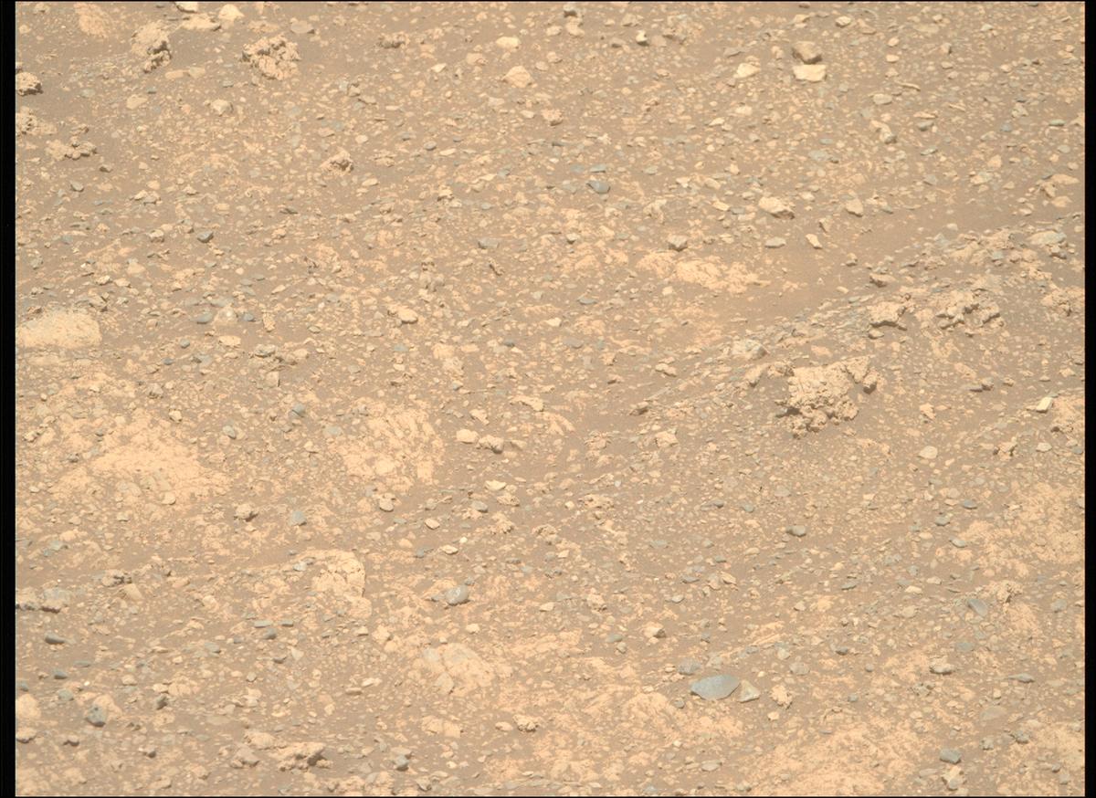 This image was taken by MCZ_RIGHT onboard NASA's Mars rover Perseverance on Sol 1614