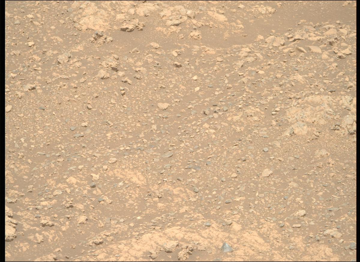 This image was taken by MCZ_RIGHT onboard NASA's Mars rover Perseverance on Sol 1614
