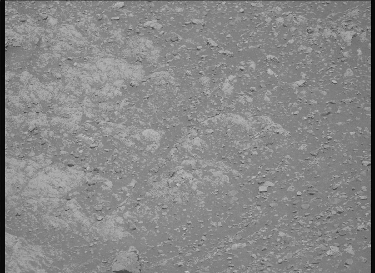 This image was taken by MCZ_RIGHT onboard NASA's Mars rover Perseverance on Sol 1614