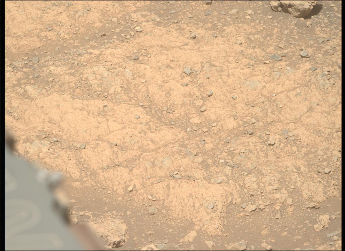 This image was taken by MCZ_RIGHT onboard NASA's Mars rover Perseverance on Sol 1614