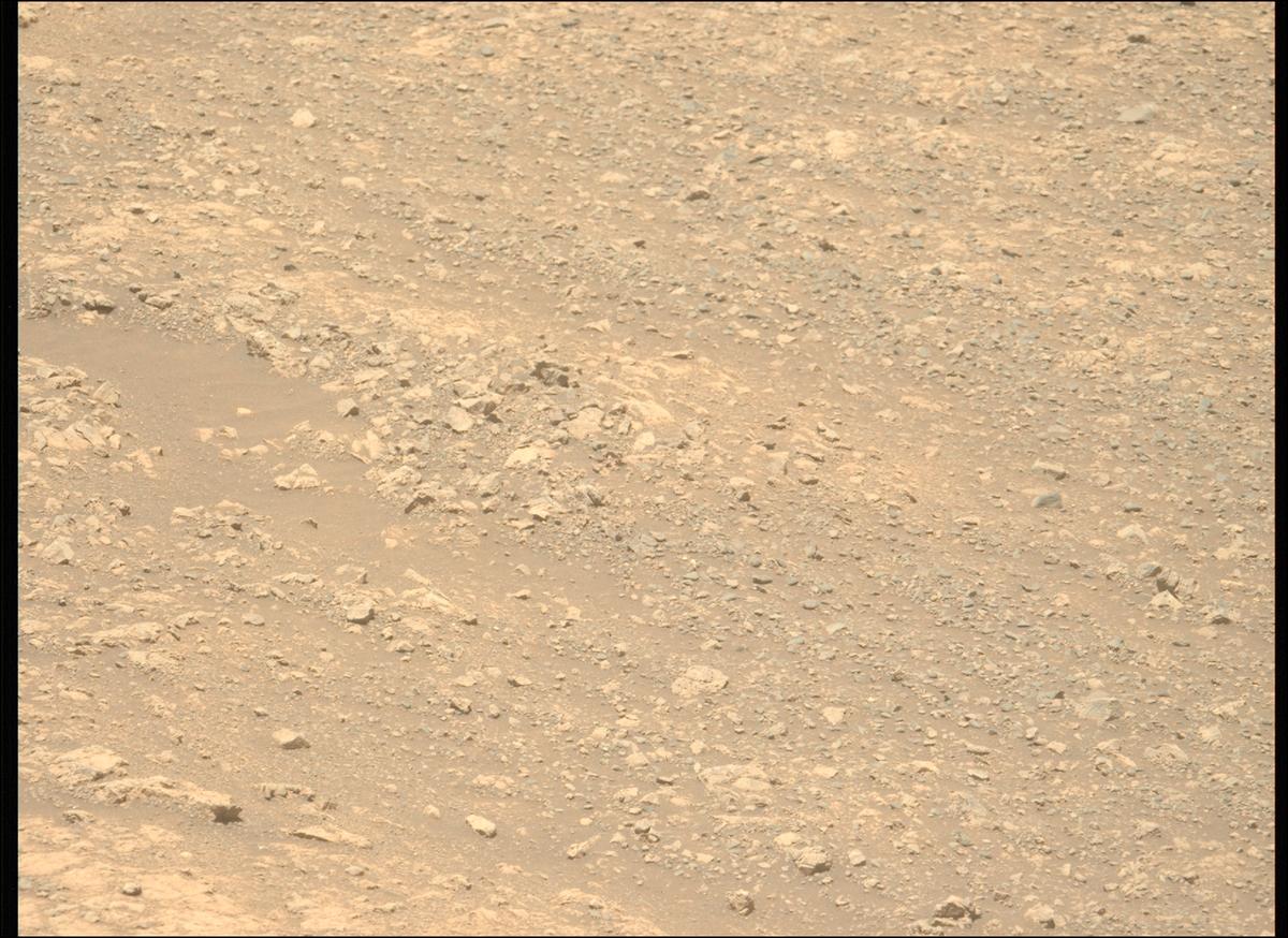 This image was taken by MCZ_LEFT onboard NASA's Mars rover Perseverance on Sol 1615