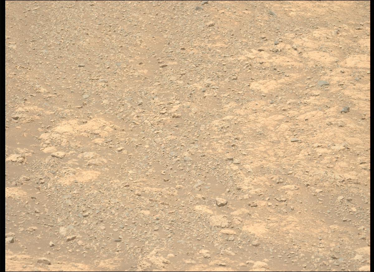 This image was taken by MCZ_LEFT onboard NASA's Mars rover Perseverance on Sol 1615