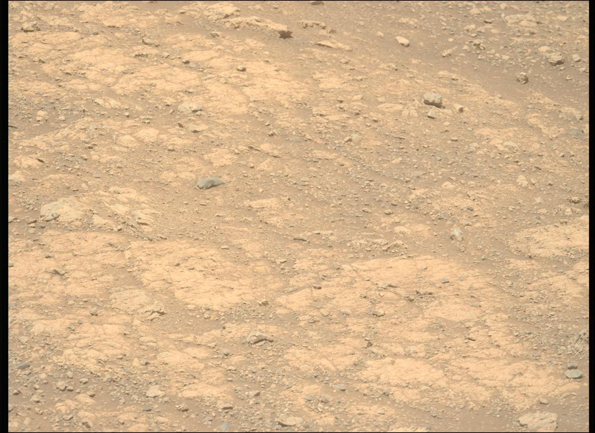 This image was taken by MCZ_LEFT onboard NASA's Mars rover Perseverance on Sol 1615