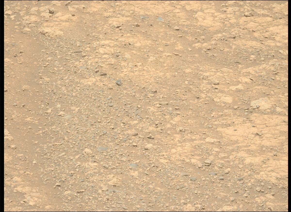 This image was taken by MCZ_LEFT onboard NASA's Mars rover Perseverance on Sol 1615