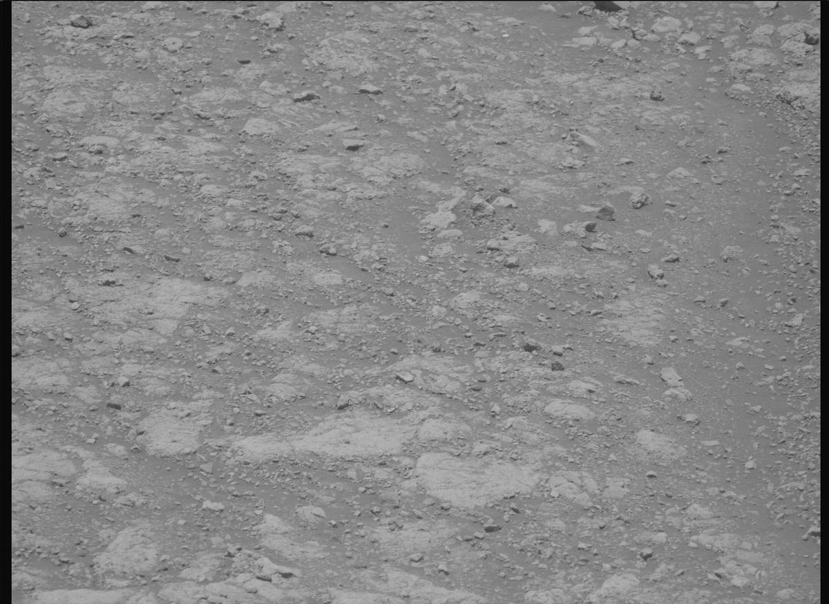 This image was taken by MCZ_LEFT onboard NASA's Mars rover Perseverance on Sol 1615