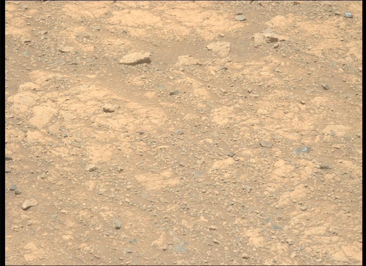 This image was taken by MCZ_LEFT onboard NASA's Mars rover Perseverance on Sol 1615