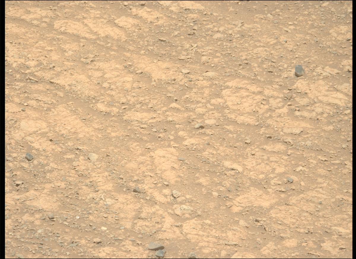 This image was taken by MCZ_LEFT onboard NASA's Mars rover Perseverance on Sol 1615