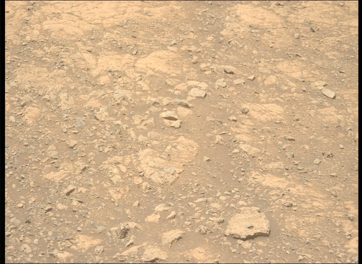 This image was taken by MCZ_LEFT onboard NASA's Mars rover Perseverance on Sol 1615
