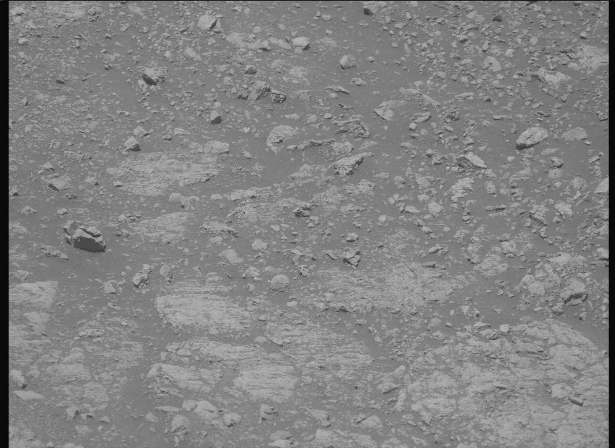 This image was taken by MCZ_LEFT onboard NASA's Mars rover Perseverance on Sol 1615