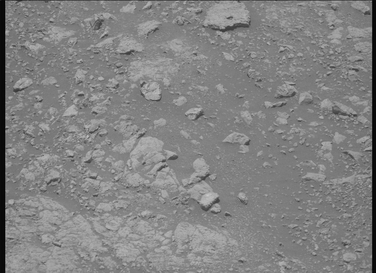 This image was taken by MCZ_LEFT onboard NASA's Mars rover Perseverance on Sol 1615
