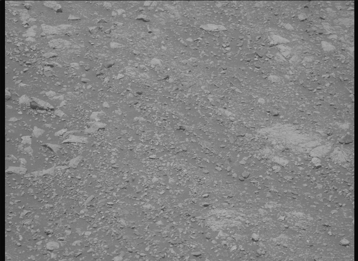 This image was taken by MCZ_LEFT onboard NASA's Mars rover Perseverance on Sol 1615