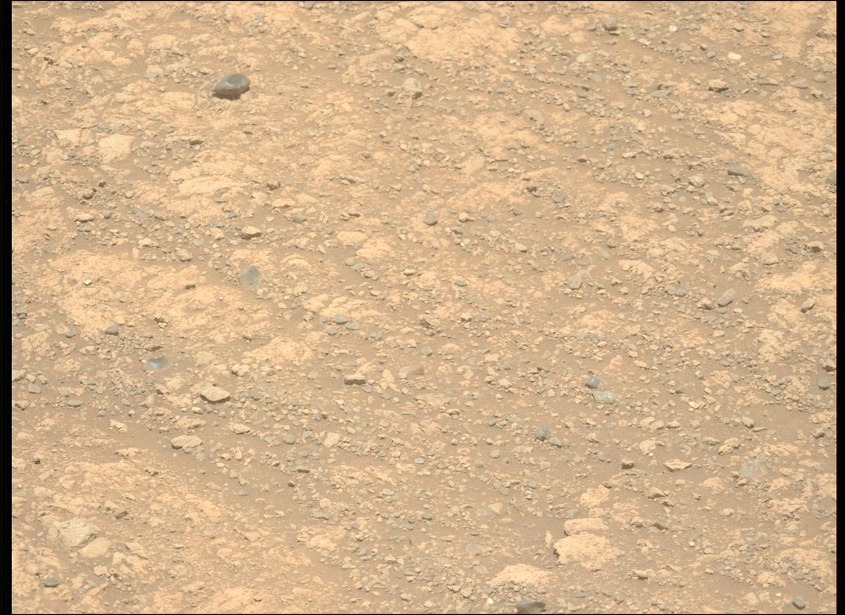 This image was taken by MCZ_LEFT onboard NASA's Mars rover Perseverance on Sol 1615