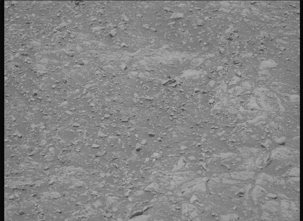 This image was taken by MCZ_LEFT onboard NASA's Mars rover Perseverance on Sol 1615