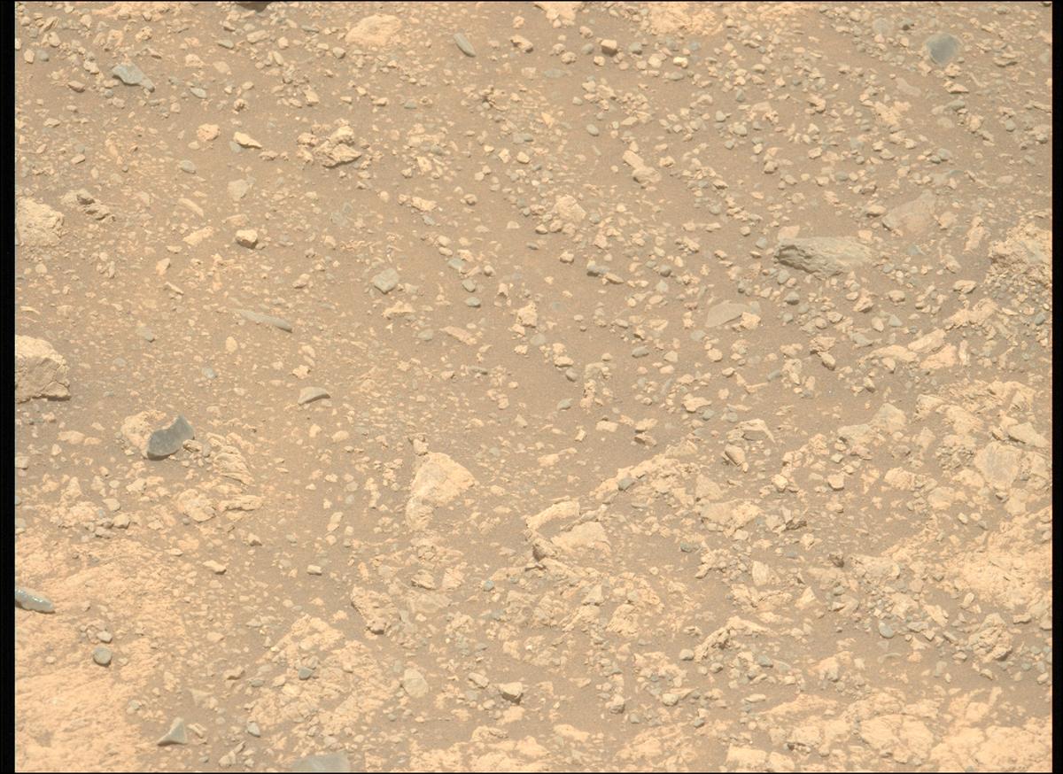 This image was taken by MCZ_LEFT onboard NASA's Mars rover Perseverance on Sol 1615