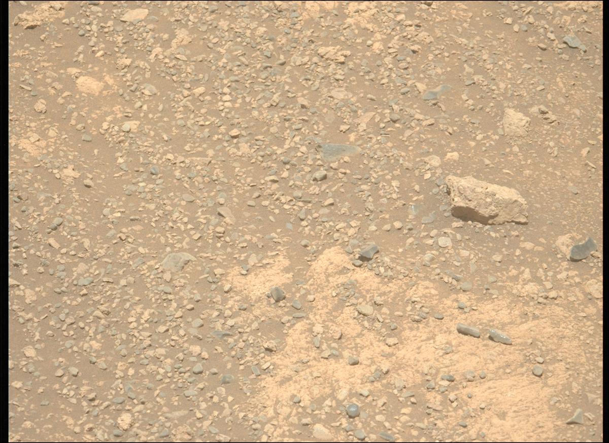 This image was taken by MCZ_LEFT onboard NASA's Mars rover Perseverance on Sol 1615