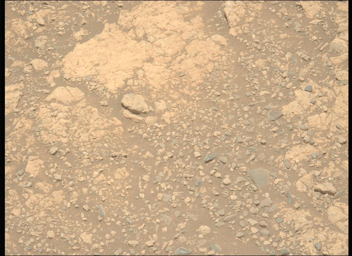 This image was taken by MCZ_LEFT onboard NASA's Mars rover Perseverance on Sol 1615