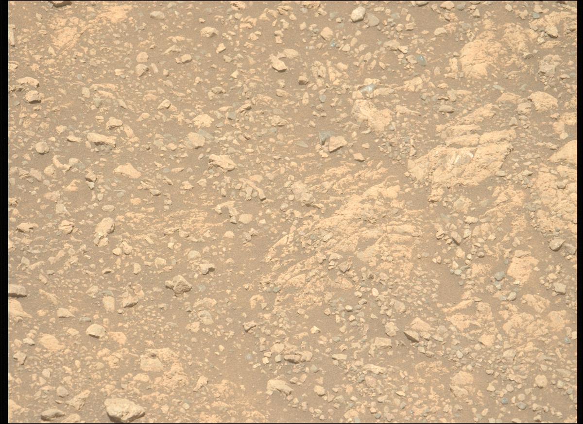 This image was taken by MCZ_LEFT onboard NASA's Mars rover Perseverance on Sol 1615